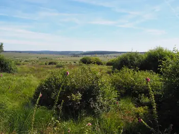 Signal de Botrange (België)